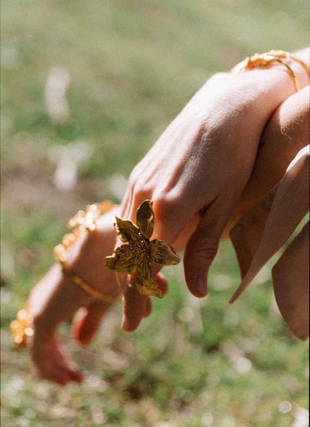 ANILLO LILIUM